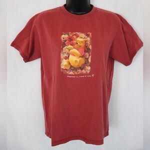 VINTAGE Winnie the Pooh Disney Store Tee | Made in USA